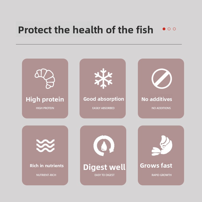 Ração em Pó PENISON para Peixe - Baby Food High In Protein avaliação e preço
